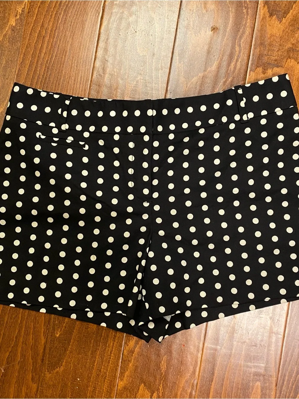 NWT LOFT Black White Polka Dot Tailored Shorts Size 12 High Rise - Picture 2 of 9
